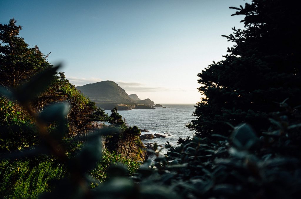 Using nature to improve life